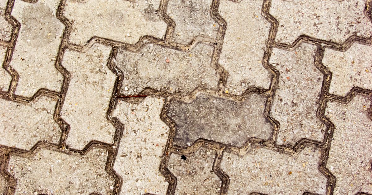 jak-odstranit-rez-ze-zamkove-dlazby (1)